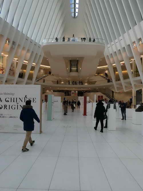 NYC_2020-01-29 13-34-31_P1080601